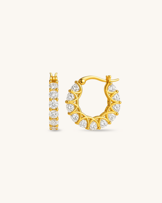 Luxe Hoop Earrings